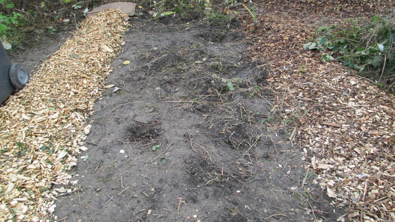 Clearing and setting up another four allotment beds
