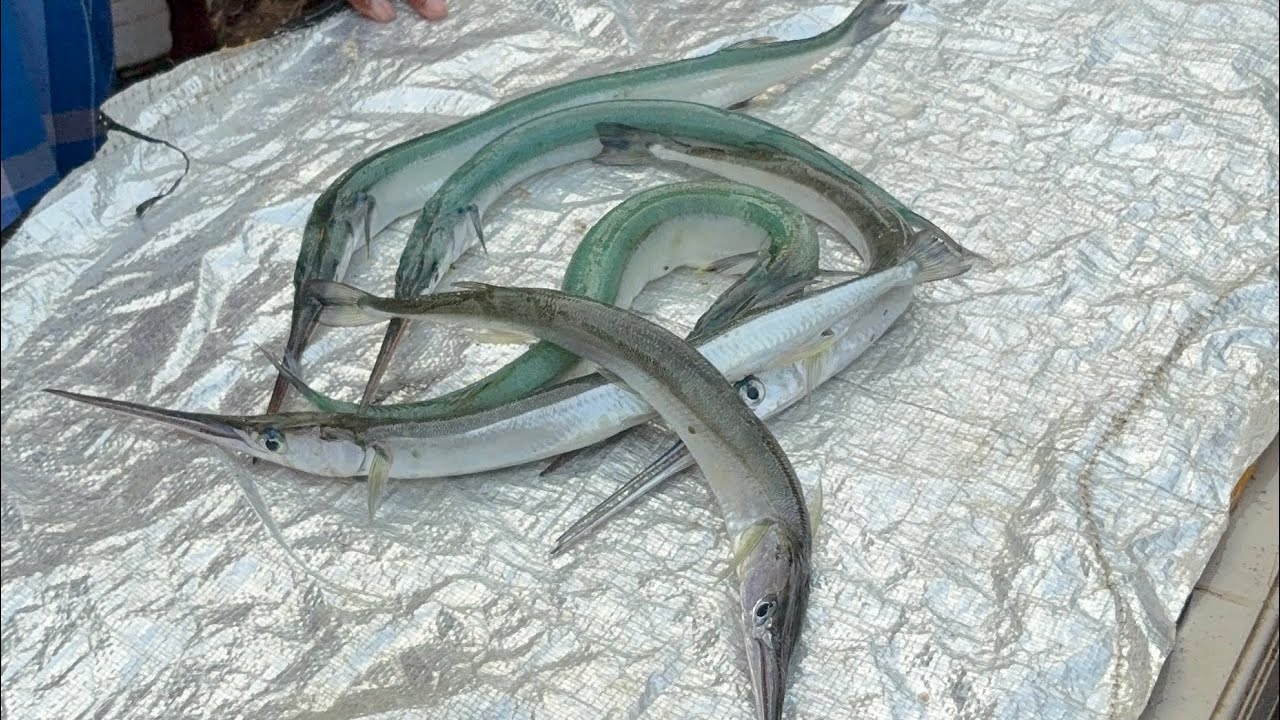 அதிகமாக வரும் நண்டுகள் முத்துக்குடா மீன் மார்க்கெட் || muthukkuda fish market