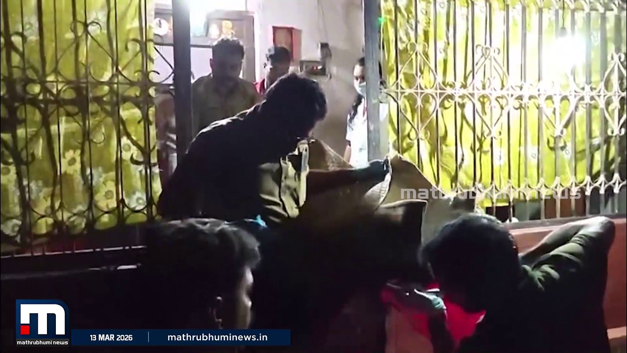 'പട്ടി കടിക്കുന്ന ശബ്ദം കേട്ടാണ് ഓടിച്ചെന്നത്'; വയോധികയെ കടിച്ചുകൊന്ന നായയെ തല്ലിക്കൊന്നു | Dog