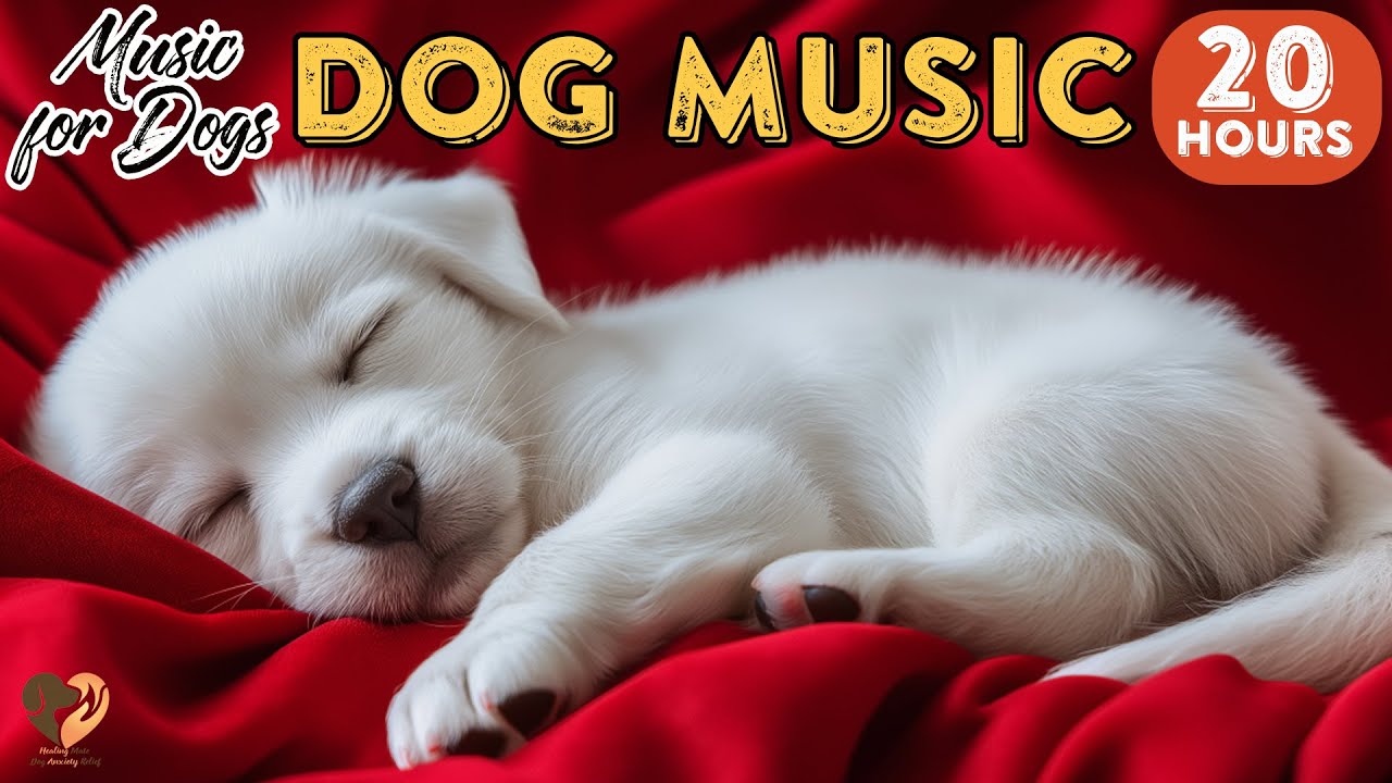 20 HOURS of Deep Sleep Dog Music & Separation anxiety🐶💖Dog Relaxation Music🎵Stressed Dog🐶Healingmate