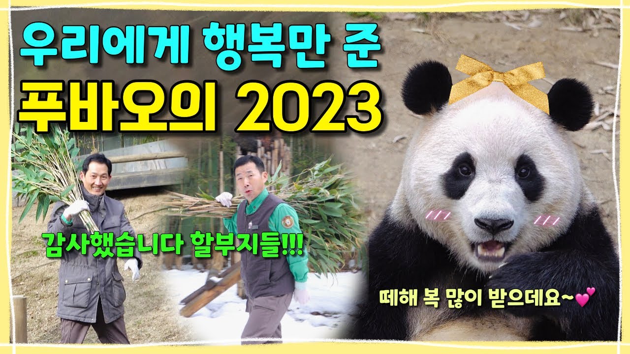 [아듀! 2023] 눈물날만큼 찬란하고 소중했던 푸바오의 2023년!!!💕우리에게 큰 행복을 준 할부지들과 다섯 바오에게 감사의 마음을 전합니다! 더불어 여러분들에게도요🩷