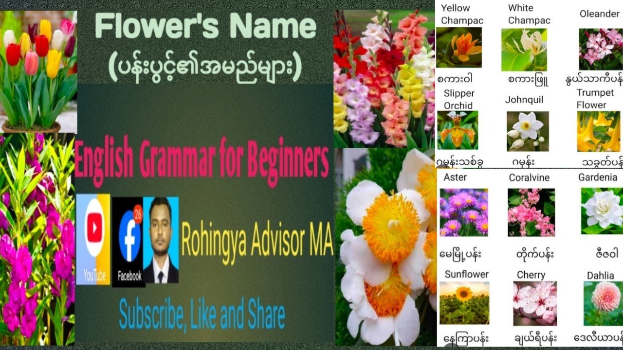 60 Flower names| in English, Burmese and rohingya language explained 