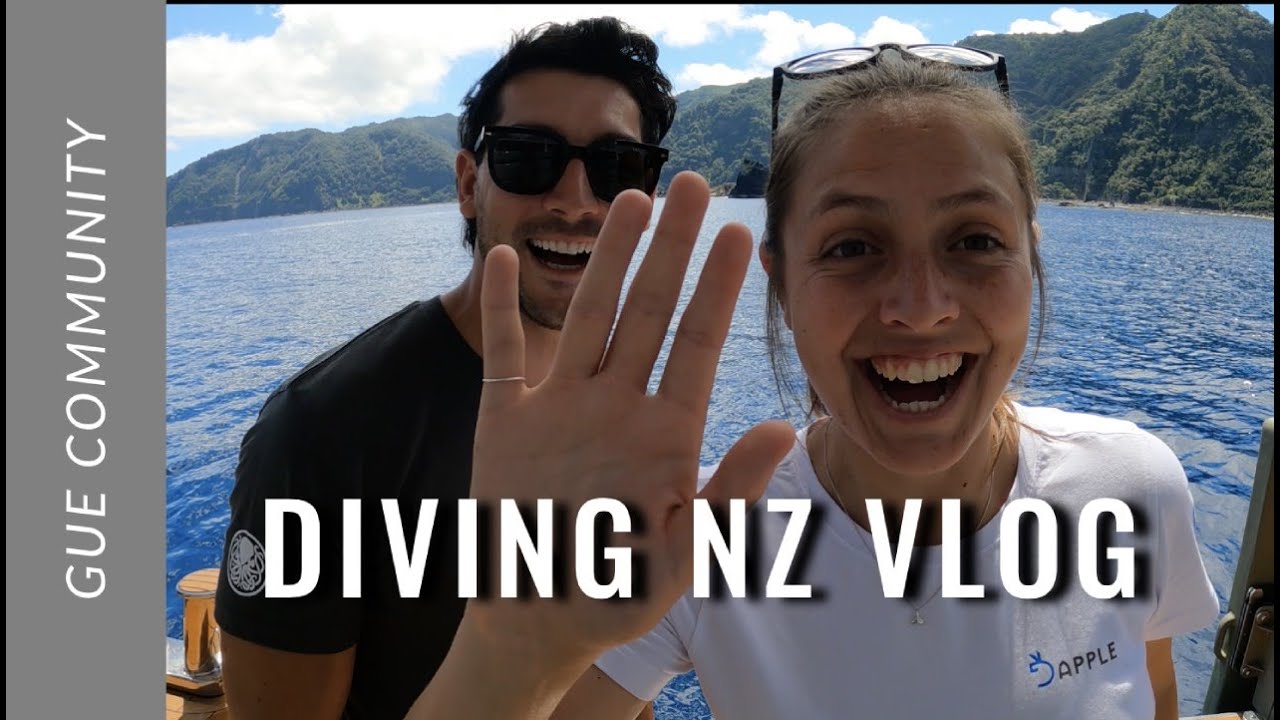 Scuba Diving Vlog: New Zealand