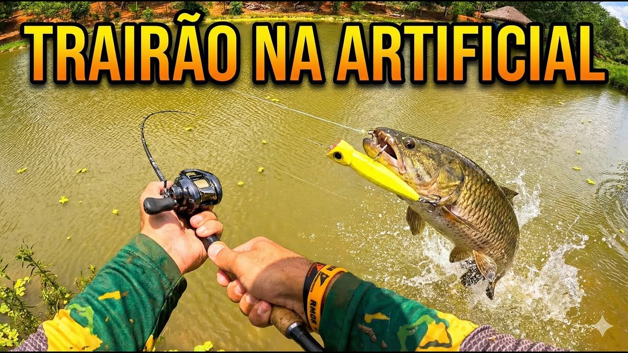 O SEGREDO DO 