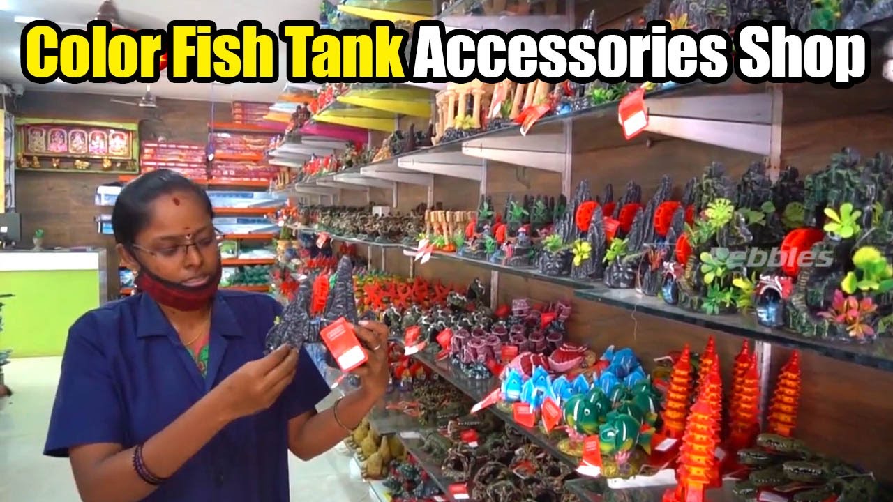 Color Fish Tank Accessories | fish food | Kolathur Color Fish Accessories Shop