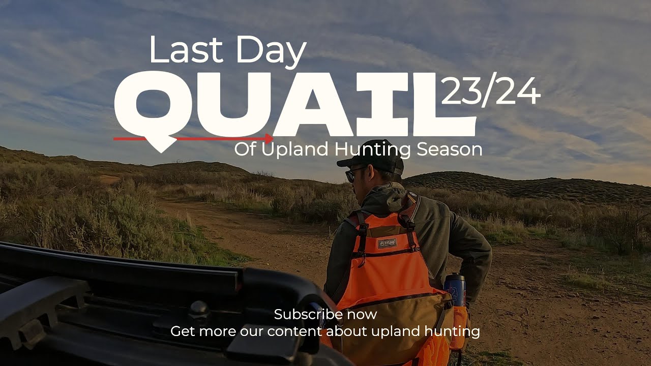 Last Day: A Quail Hunting Adventure in 4K