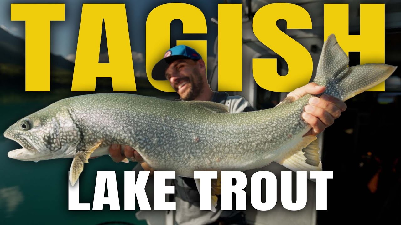 Tagish Lake Overnight Solo Fishing Trip