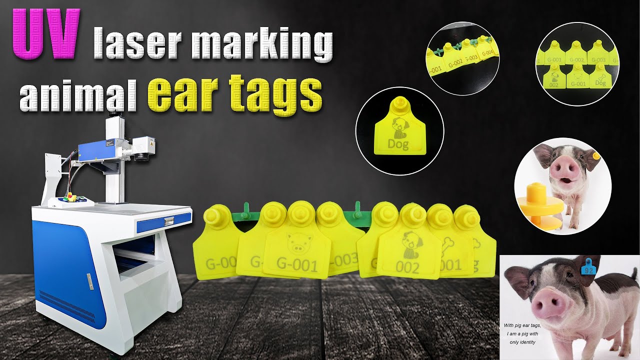 UV Laser Marking Machine Printing on Plastic Animal Ear Tag for Cattle Cow Sheep