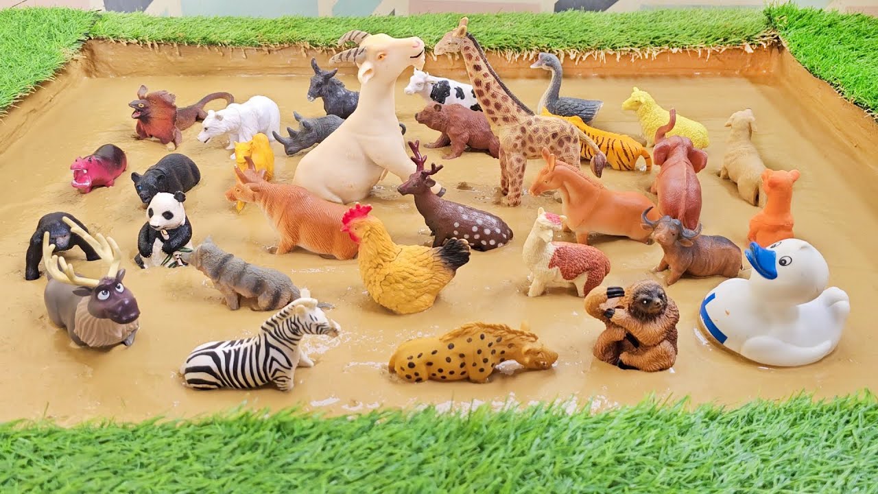 Cutest Goat, Tallest Giraffe Stuck Around Farm, Zoo & Jungle Animals in Mud Ground!
