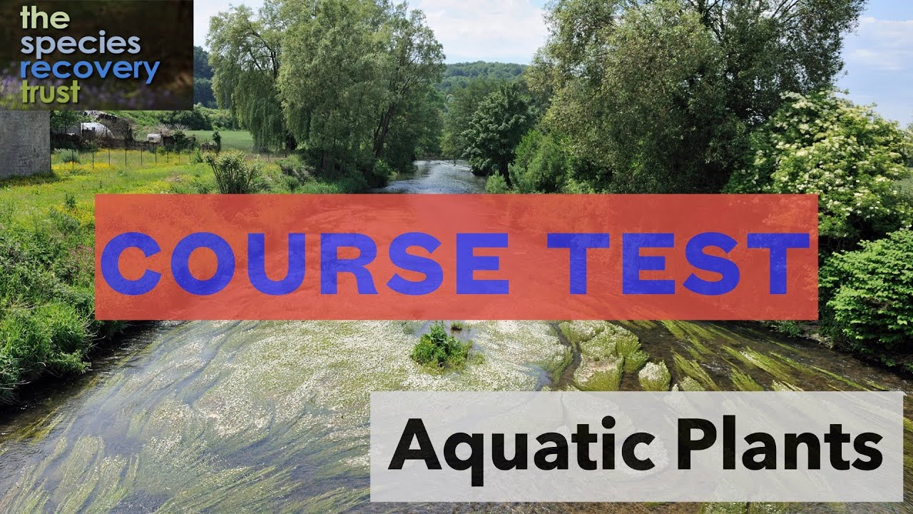 Aquatics Course Test