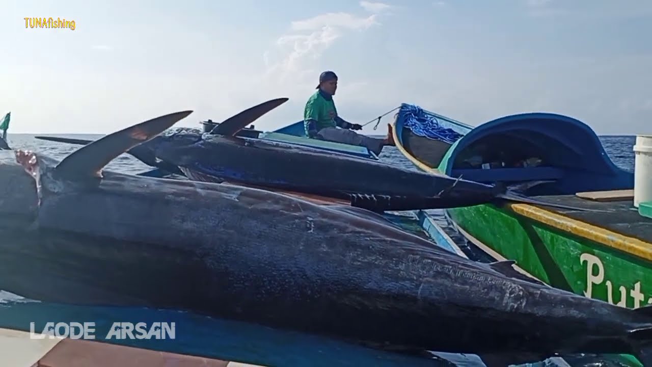 Sambaran Black Marlin,1 jam lebih di Taklukan_Part3