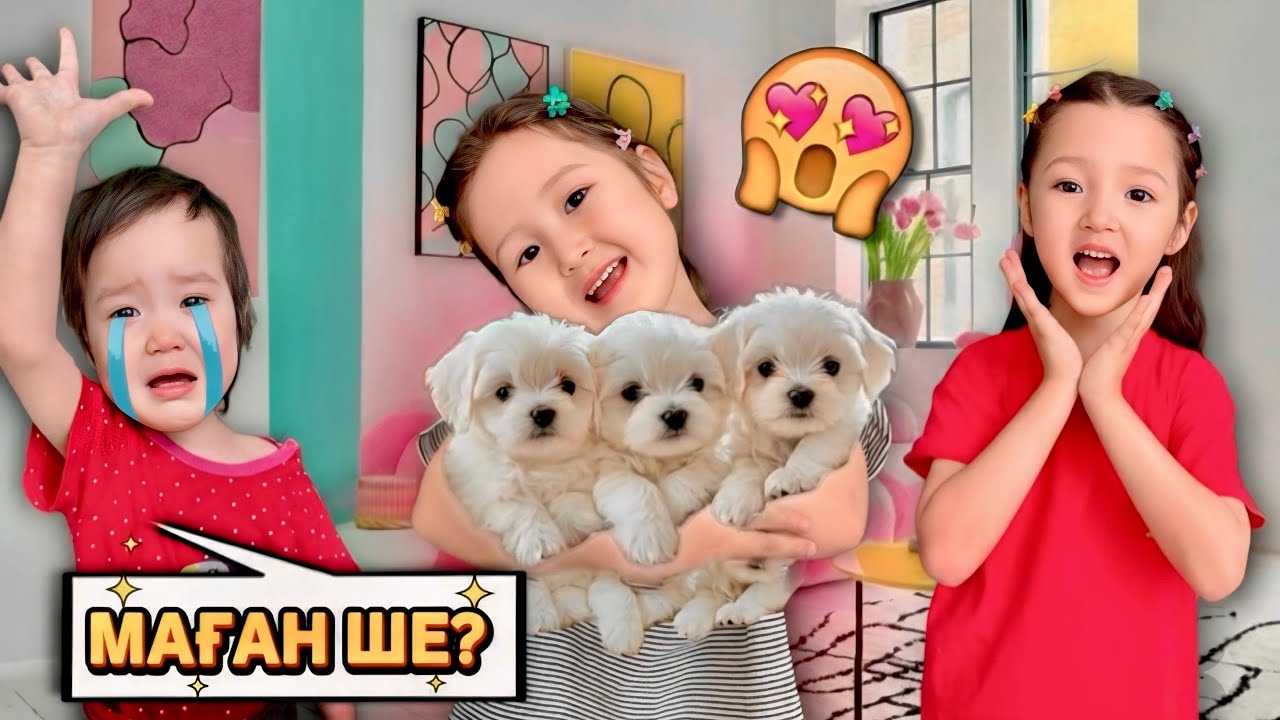 3 КҮШІК АСЫРАП АЛДЫҚ 😍🥰