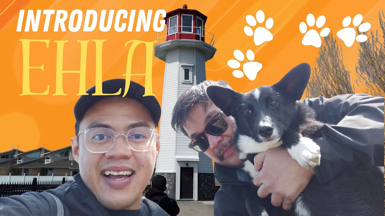 VLOG 108 - WE GOT A DOG : EHLA