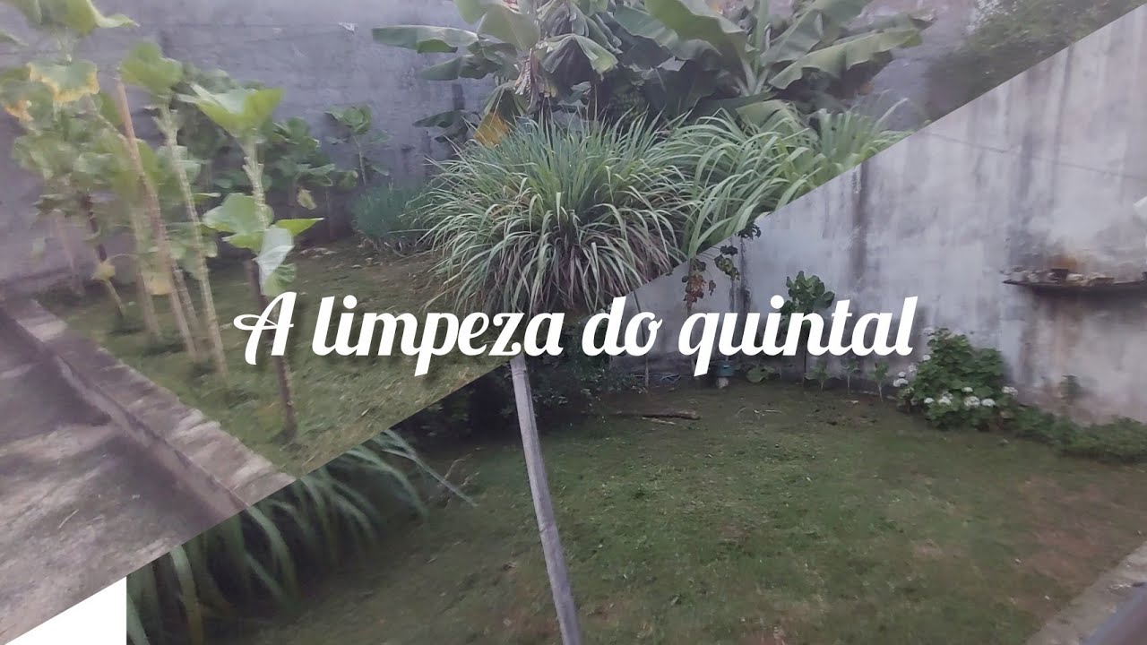 Meu esposo limpando o quintal 😀