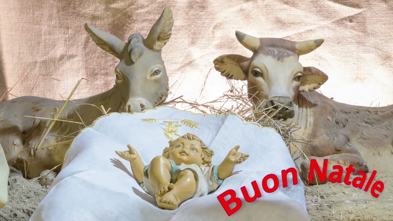presepe animato chiesa terrasanta