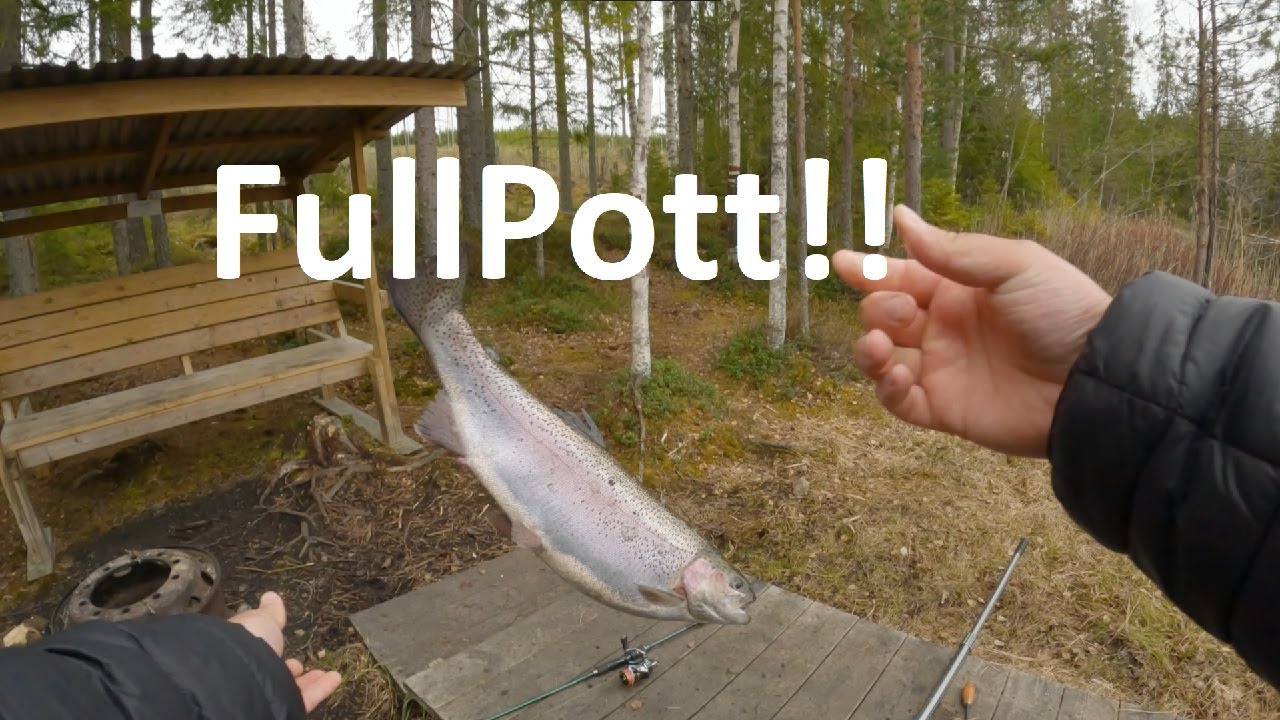 Regnbågs / Rödings Slakt / Hofors