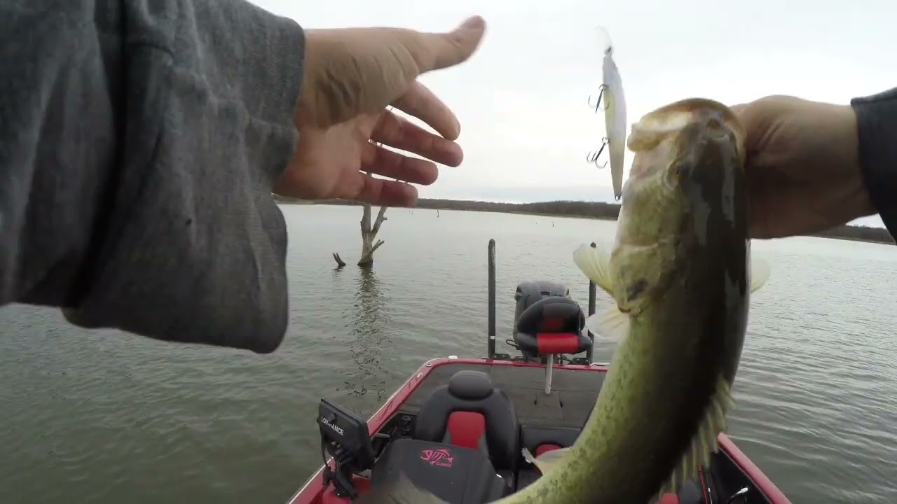 Early spring bass fishing in Oklahoma (Big bass on livescope)