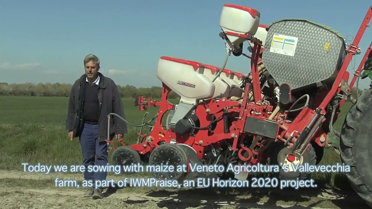 Scacco matto ai diserbanti del mais in 2 o 3 fasi