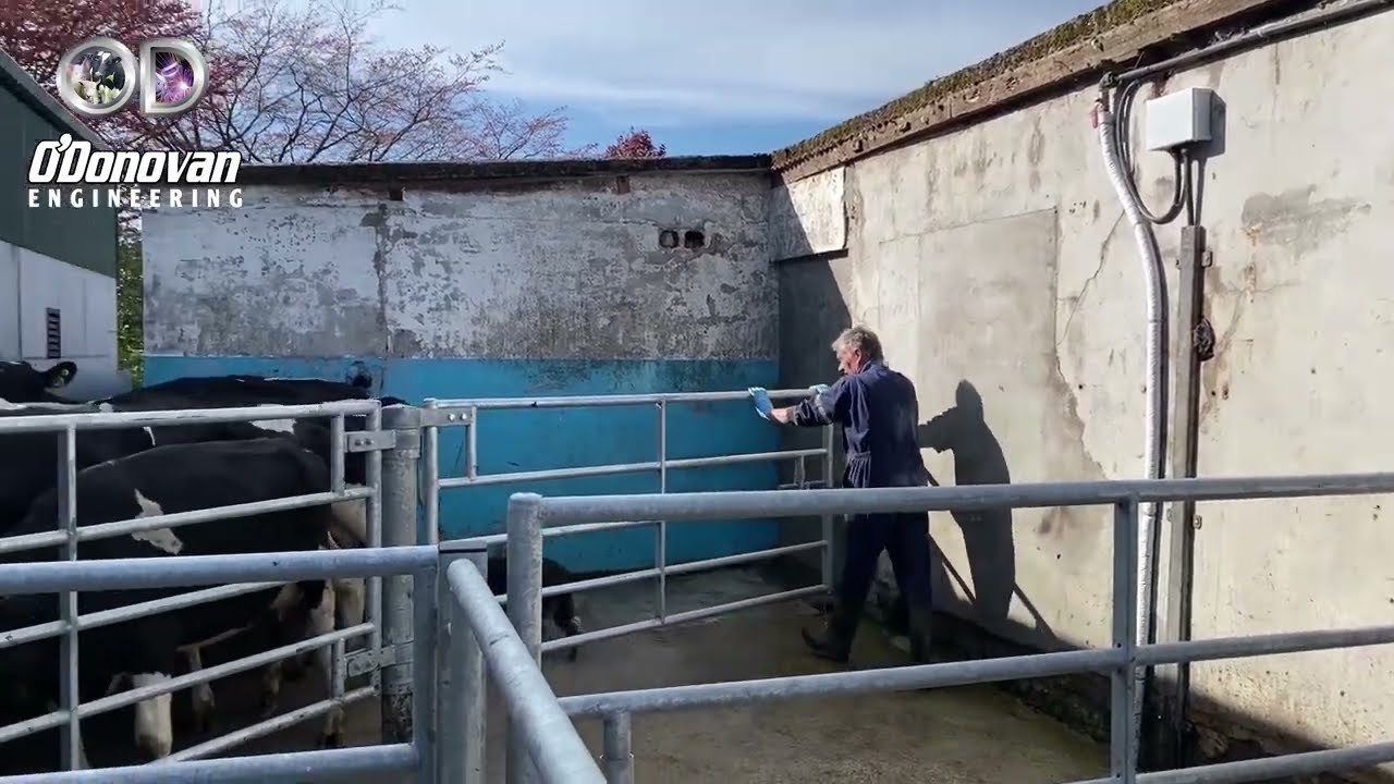 Heavy Duty Gates For Housing & Handling Livestock - O'Donovan Engineering