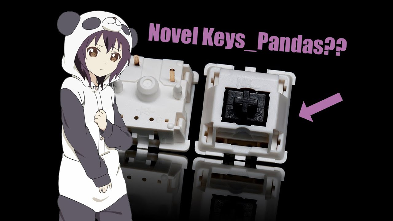 Novel Keys Silk Black Switch Review and Typing Test - Novel Keys pandas!? ASMR