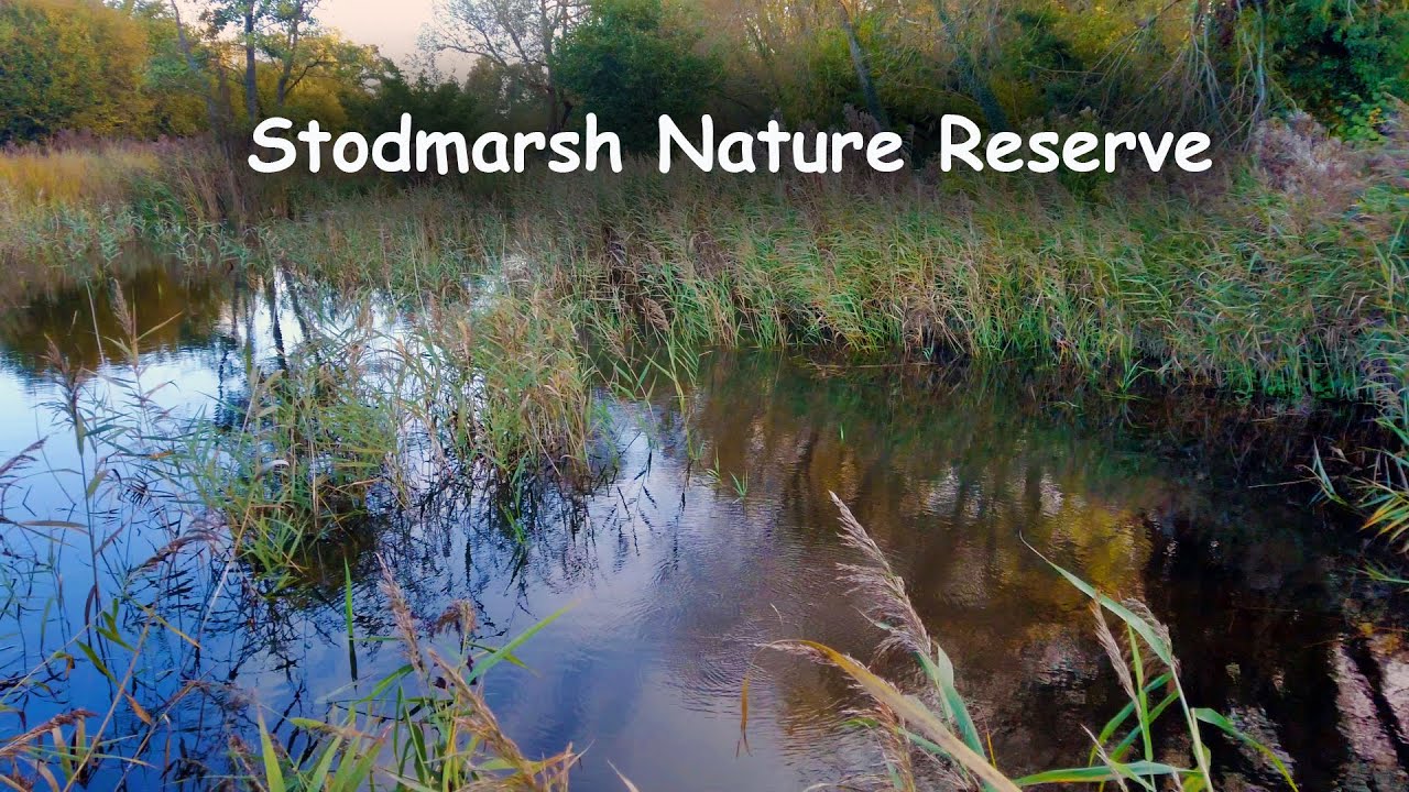 Stodmarsh National Nature Reserve. An early morning Autumn Walk