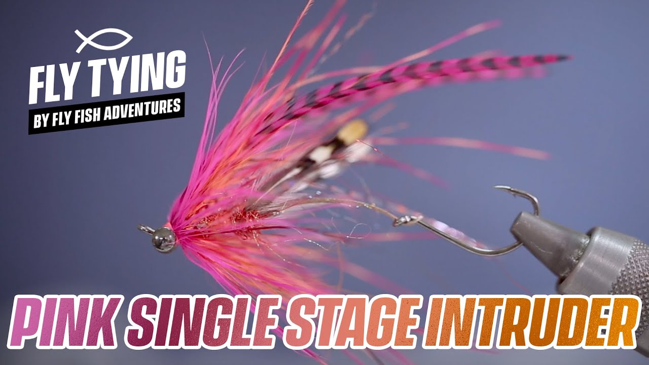 Pink Intruder - By Stuart Foxall