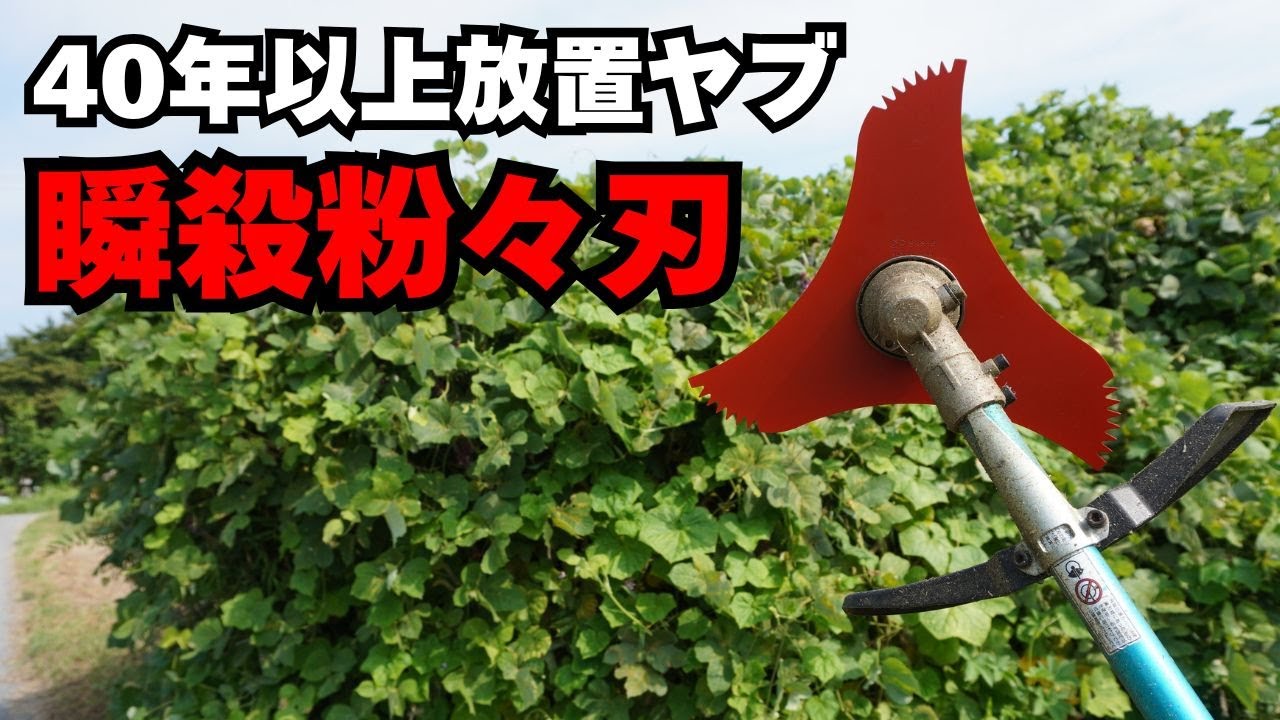【日本製特厚３枚刃】40年以上手つかずの大藪を一気に開拓！笹竹もツルも粉砕