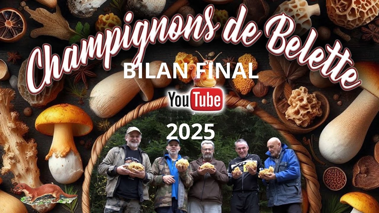 𝗕𝗜𝗟𝗔𝗡 𝗙𝗜𝗡𝗔𝗟 𝟮𝟬𝟮𝟱 🌲🍄‍🟫🎅🍄🌳#mushroom #champignons #foret #fungi