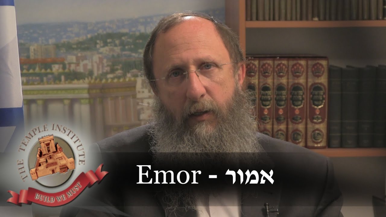 Weekly Torah Portion: Emor