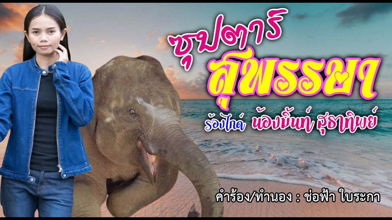 ♥️♥️เพลง ซุปตาร์สุพรรษา  ร้องไกด์แนวอคูสติกโดย น้องมิ้น สุธาทิพย์ ฝากคอมเมนท์และกดติดตามด้วยนะคะ♥️♥️