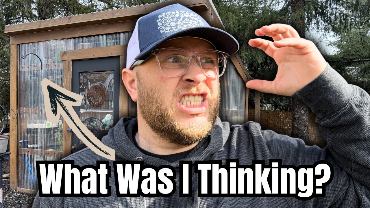 Garden Mistakes I Wish I Could Undo (And What I’m Changing)