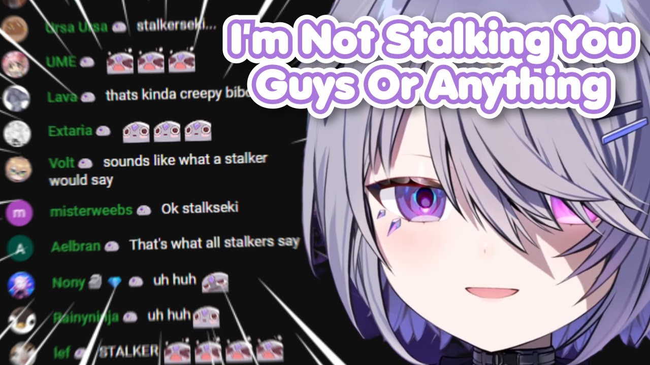 Biboo Made Chat Cringe So Hard Because of What She Does IRL