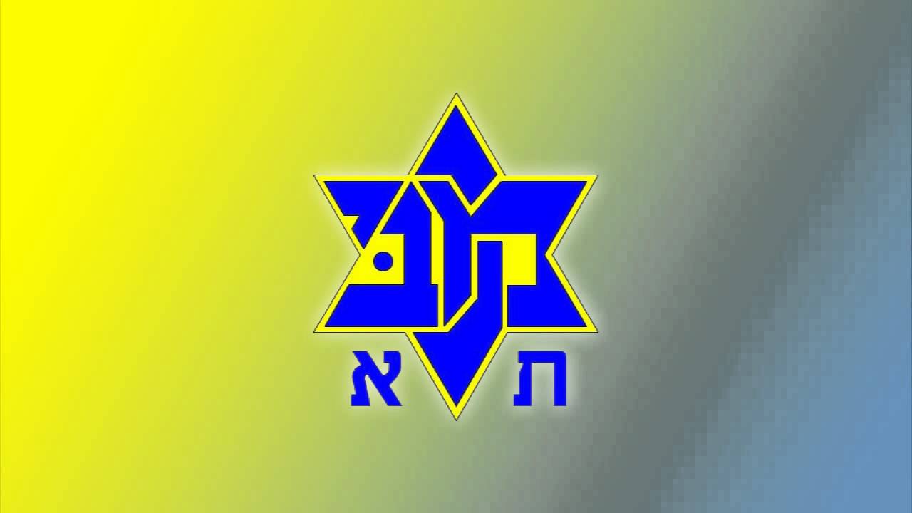 מכבי ת