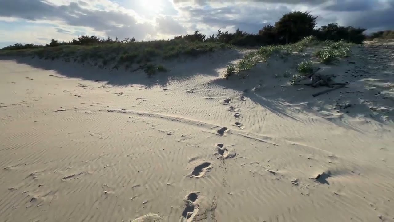 #Italy 🇮🇹 #Apulia #Castellaneta Stornara Nature Reserve | non-stop stretch of sand | sunset walking.