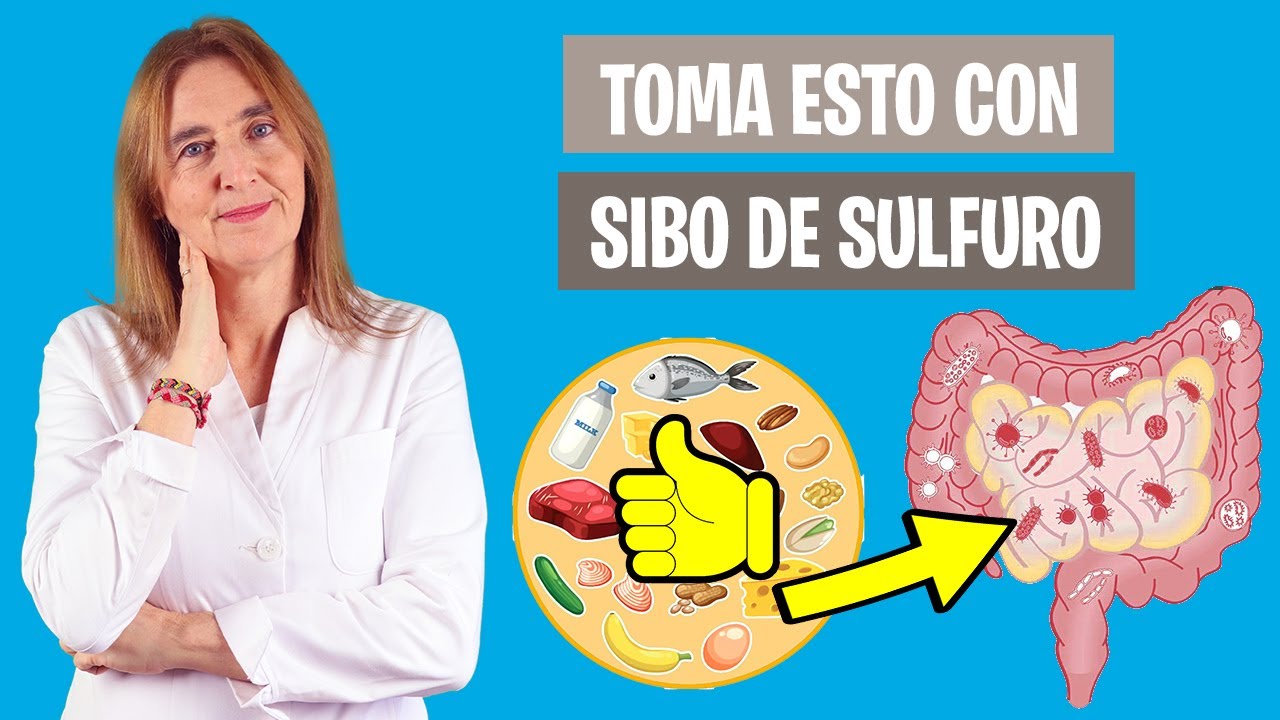 LO QUE MEJOR se TOLERA con SIBO SULFURO | Dieta para SIBO de sulfuro | Nutrición clínica