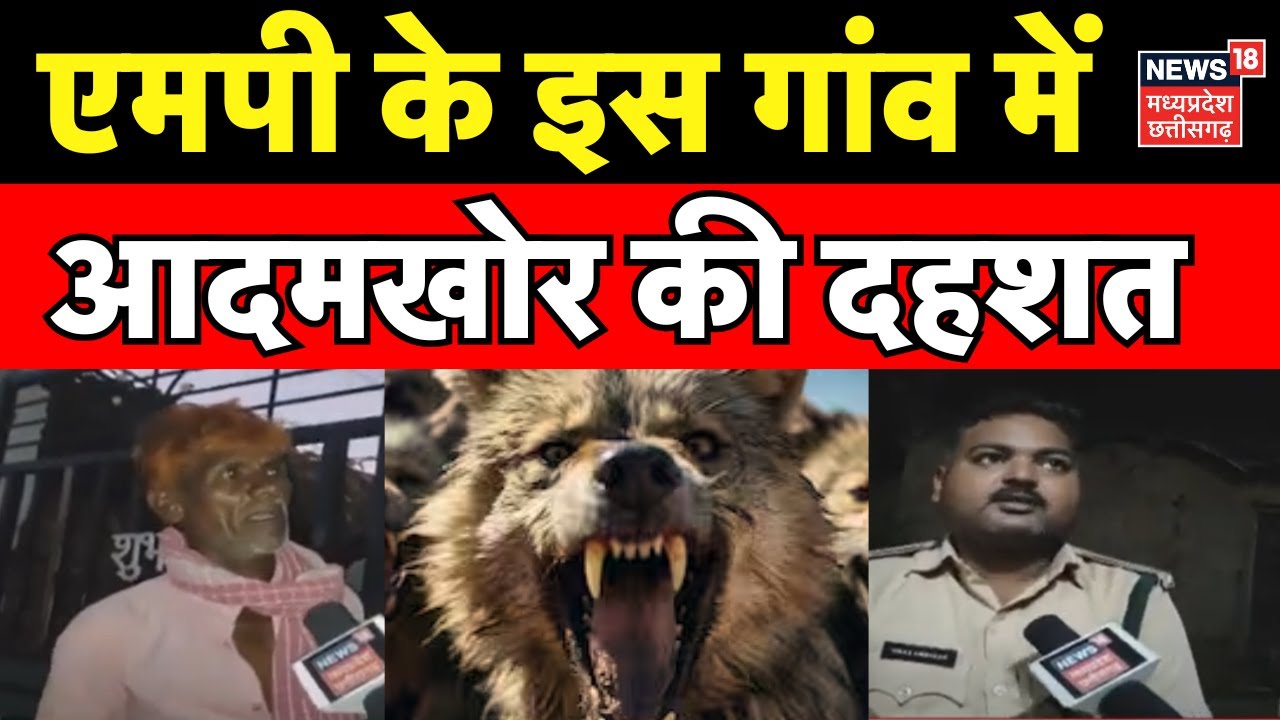 Barwani News : बड़वानी के इस गांव में संभलकर जाना | Ghost in Barwani | MP News | Wolf in Barwani