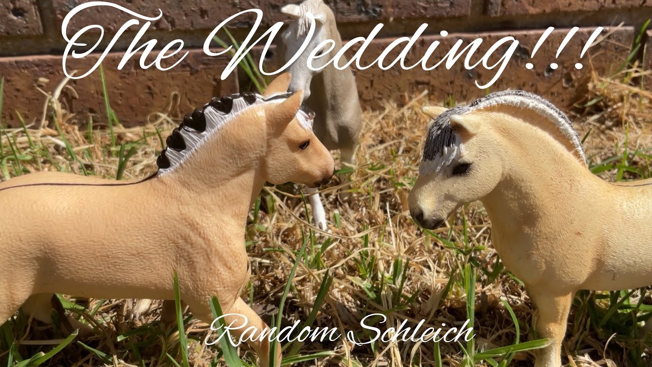 The Wedding 💕🐴 | Random Schleich