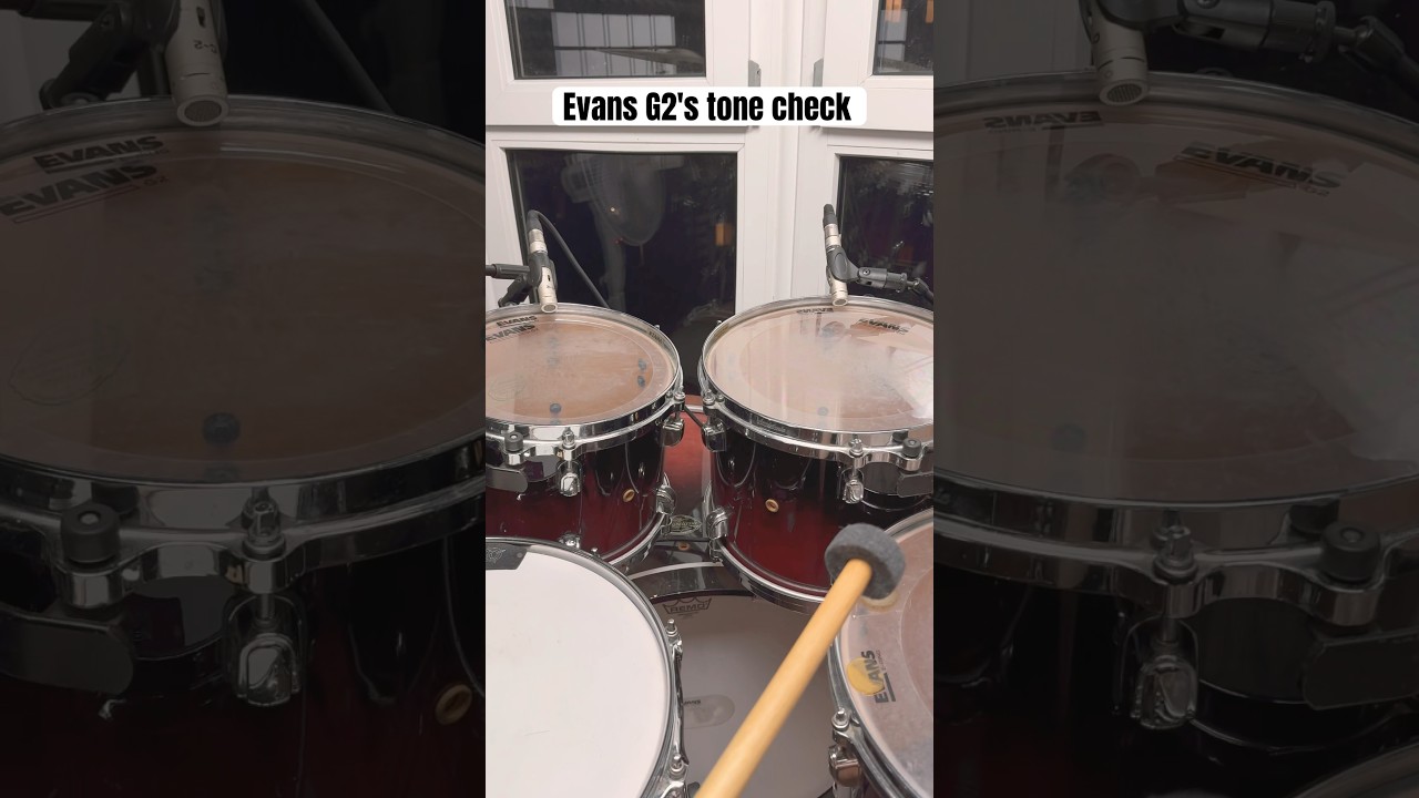 Evans G2's tone check #drums #drummer #drumheads #evansheads #evansdrumheads #tamadrums #drumsticks
