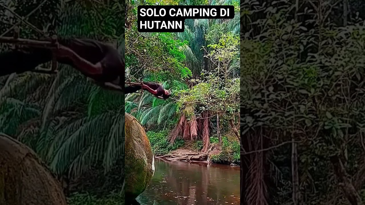 Solo camping di hutan#solocamping#solocampinginforest#solocampinghutanlebat #camp#camping#hutan#