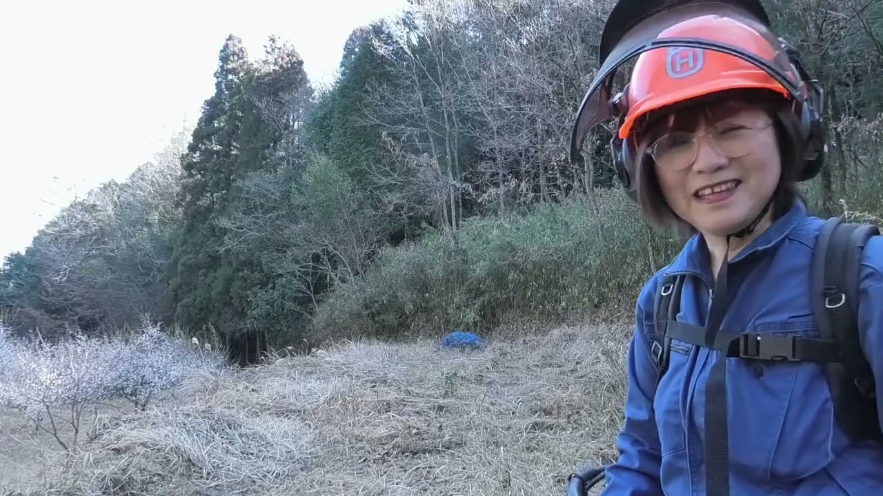 誰も来ない山奥の梅畑周辺を草刈りする！耕作放棄地手前のカボス畑