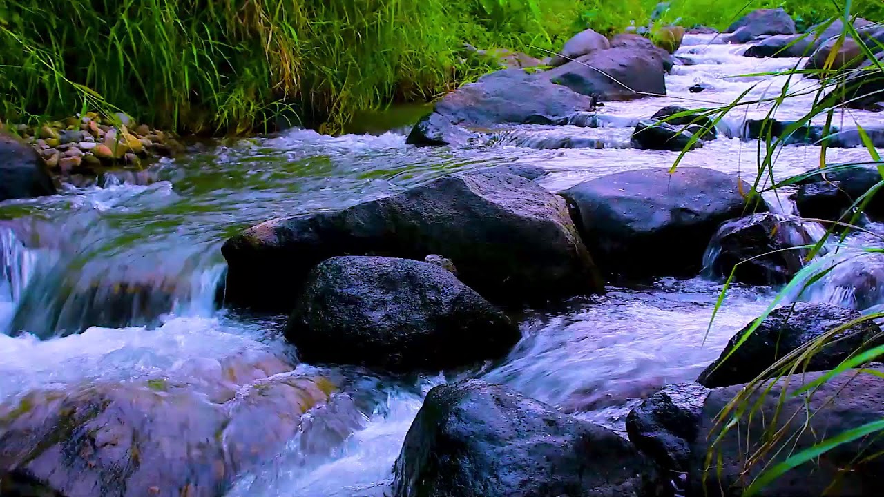 Mountain River Flowing Water Sounds for Deep Focus and Clear Thinking