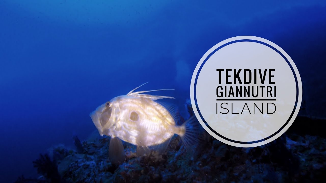 | TekDive - Giannutri Island |