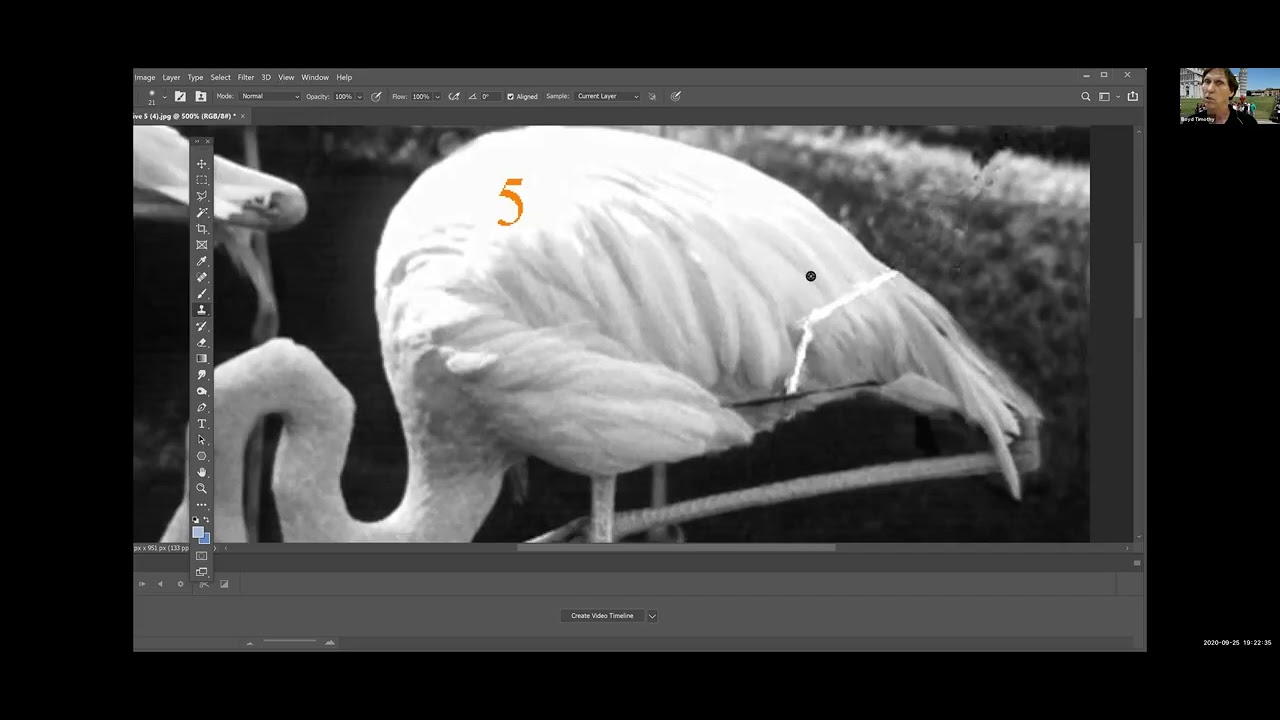 4   Flamingo   Tim Boyd 1 1