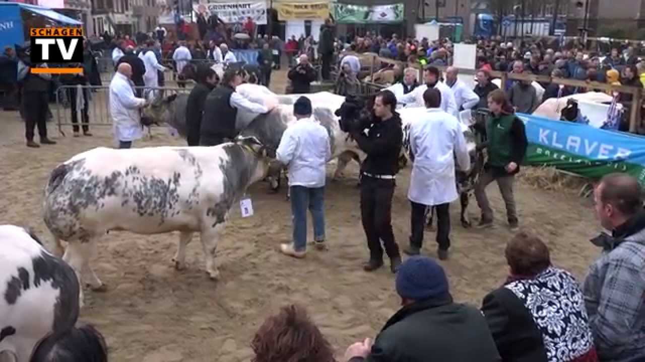 Paasvee 2015