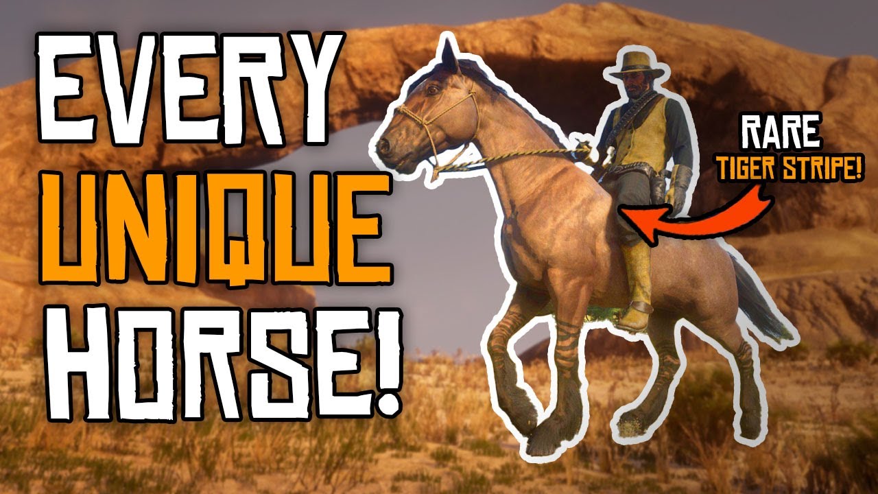 ALL RARE Horses & How To Get Them! Red Dead Redemption 2 Unique Horse Locations!