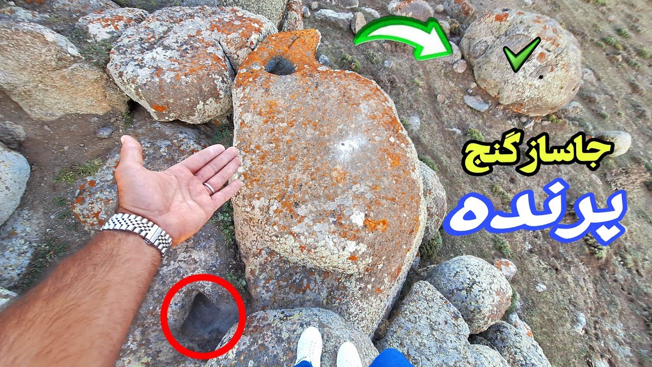 با دیدن این ویدیو گنج هرپرنده ای رو پیداکن#جاساز نمادپرنده