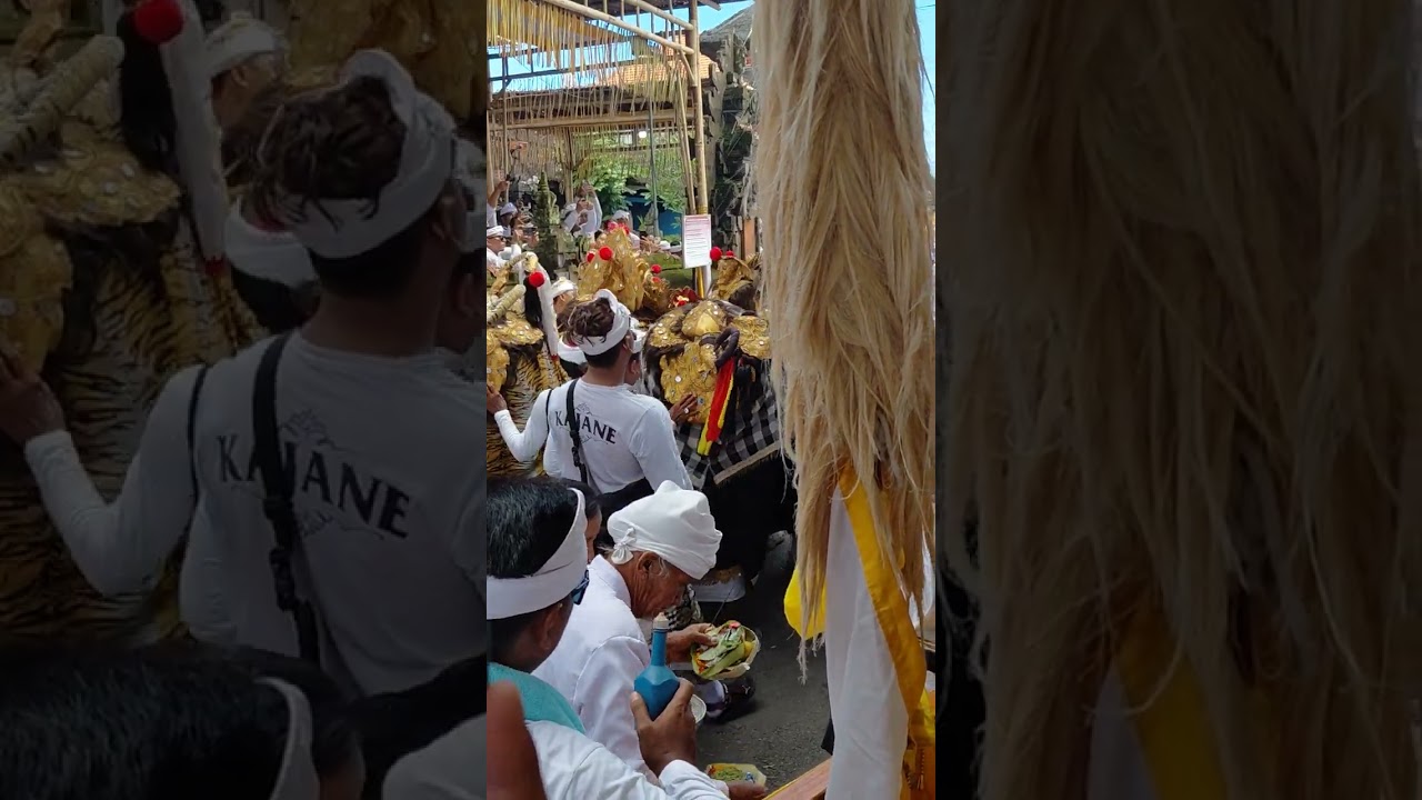 Di depan Bale Agung.. penyambutan Sesuhunan datang dari melasti.. desa pekraman Buduk Bali