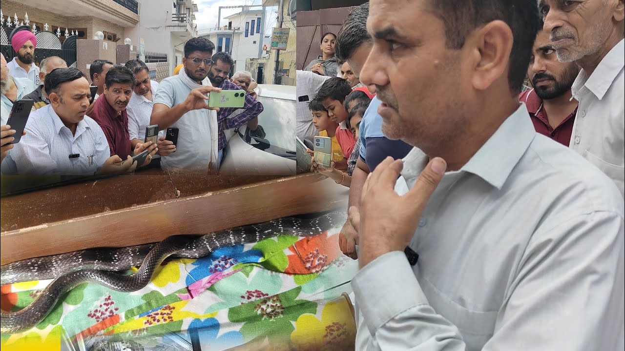 32 वर्षीय युवक को सांप ने काटा, हस्पताल गये मंदिर गये, नहीं बनी बात///-9255130130