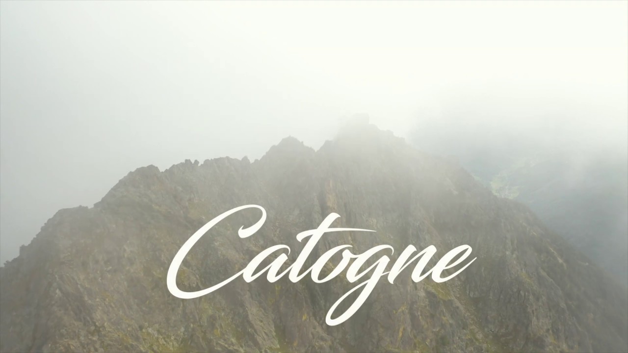 Catogne
