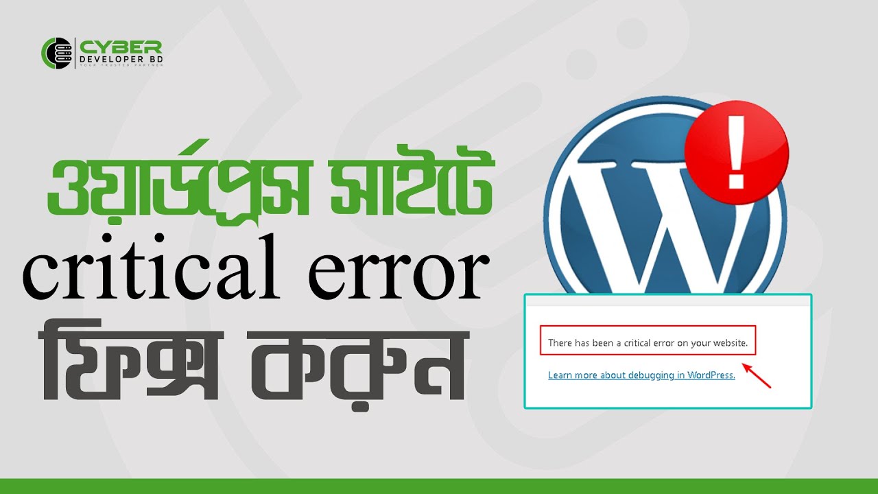 [SOLVED] there has been a critical error on this website Wordpress Error | Cyber Developer BD